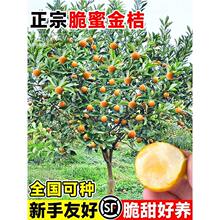 ��ۘ�����ļ���Ƥ��ʳ�ù�������۹��������҃ȿ͏d�̨ˮ����