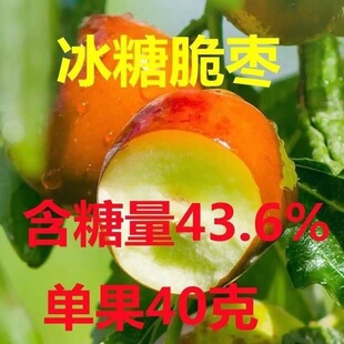 ��������ϱ����Nֲ�ش�ͥԺ�޽Ӷ������Ԏ������箔��Y����Ʒ�N