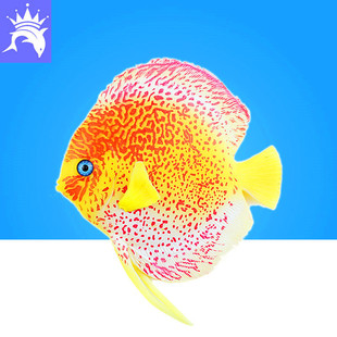 �~���b� ����Ꭷ�~ ˮ��ҹ�������~ �߲������~