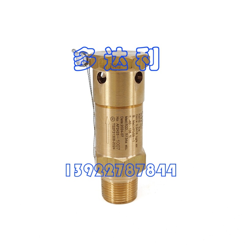 00PPY100001201 30XQȫ  Carrier SAFETY VALVE