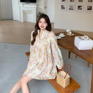 ȹ�� ���I�@���Lȹ/����V�I�B��ȹ