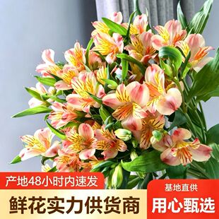 ˮ�ɰٺ��r�����l��ϻ���ֱ�l�������r�л���c����[���Fُ؛Դ