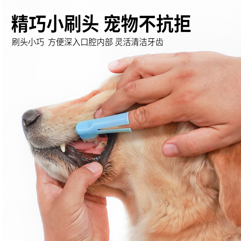 En stock al por mayor pipetao cepillo de dientes para mascotas de tres piezas cepillo de limpieza de dientes de perro cepillo de dientes para mascotas de doble cabeza cepillo para mascotas