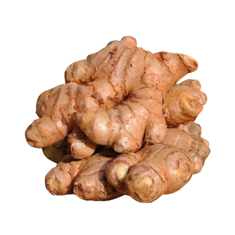 Yunnan Small Turmeric Fresh Wholesale Ginger Old Ginger New Ginger Fresh Ginger 1/2/3/5/9/10 Dropshipping