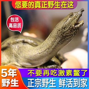 Ұ�����~�r�����˞���ʳ�����MҰ����~���w���l���A�Mˮ�~�F�~