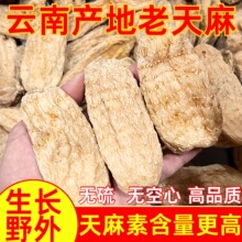 云南昭通天麻野生特级天麻整个天麻干货野生天麻中药材云南天麻片