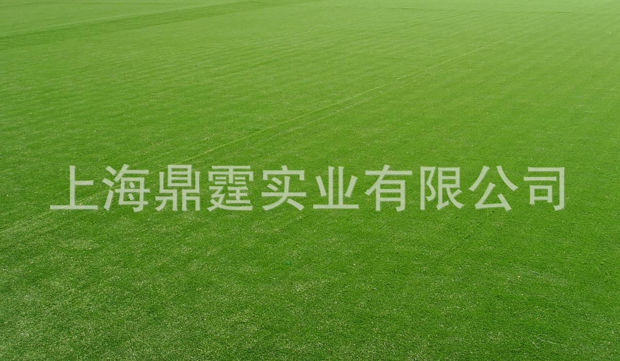 �˹���ƺ �����ƺ�����ƺ ������ɫ�˹����� ��̺ Χǽ�̲�Ƥ