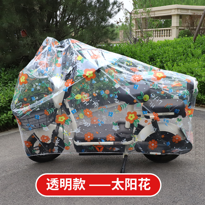 투명한 해바라기