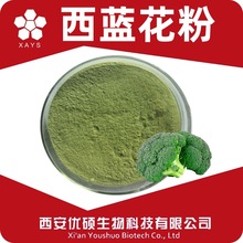 西蓝花提取物水溶西蓝花粉浓缩粉食品级SC证优硕生物西兰花提取物