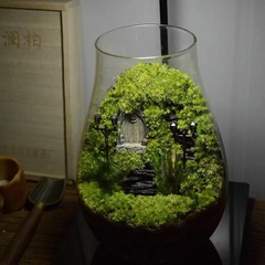 コケ微景観生態瓶diy水滴斗魚瓶水培植物ガラス瓶室内緑植置物