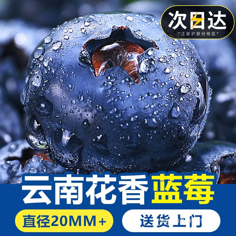 Fresh Blueberries, Fresh Fruit from Yunnan, L25 Blueberries, Mountain Floral Aroma, Sweet Berries, Large Fruit, Direct Delivery from the Place of Origin, Whole Box Fresh Blueberries, Fresh Fruit from Yunnan, L25 Blueberries, Mountain Floral Aroma, Sweet Berries, Large Fruit, Direct Delivery from the Place of Origin, Whole Box