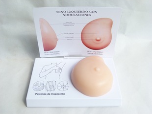 Breast self-examination model silicone soft material breast massage self-examination prolactinist practice model human body model