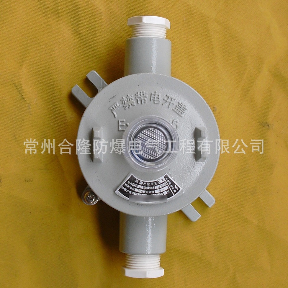 【厂家供应】防爆光控照明开关/防爆光控开关