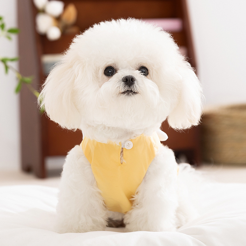 Primavera y verano perro gato de dibujos animados lindo perro hippie tridimensional pato pato vestido transpirable ropa para mascotas para perros pequeños y medianos image 2