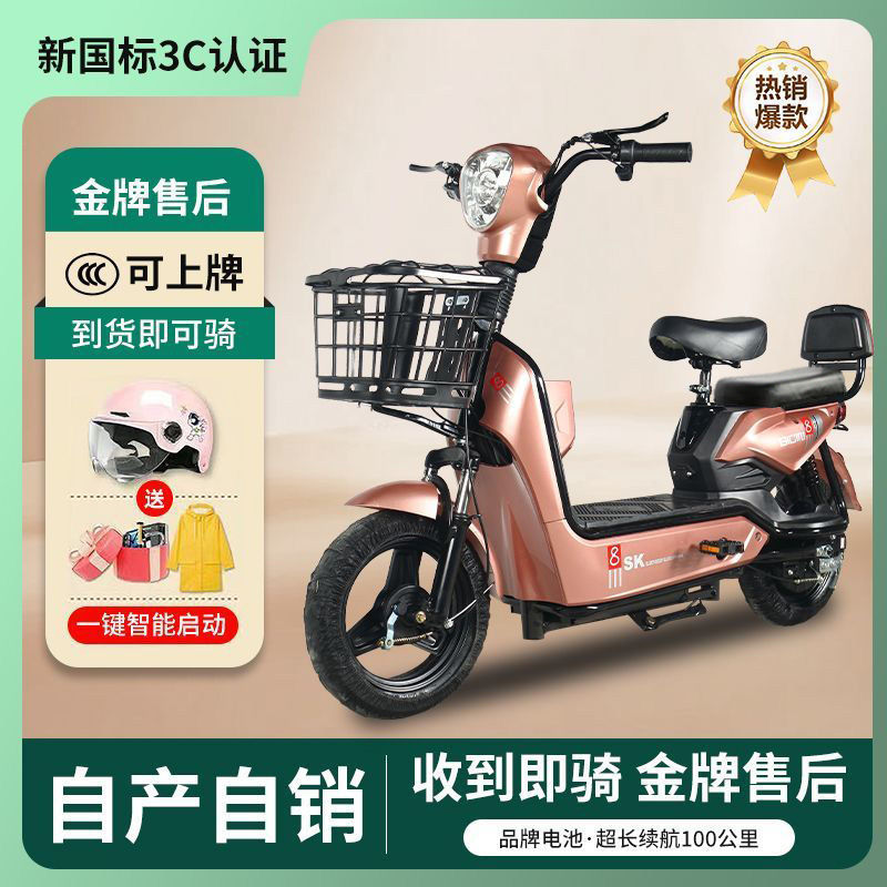 로즈 골드 여름 방폭형 사이클링 배터리 전압: 48.01V([편안하고 부드러운 스타일 포함])