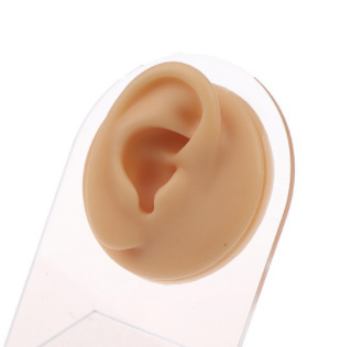 Simulación de modelo de cinco sentidos perforación acupoints de oído práctica de enseñanza accesorios lengua clavo nariz clavo boca ombligo muestra molde de silicona
