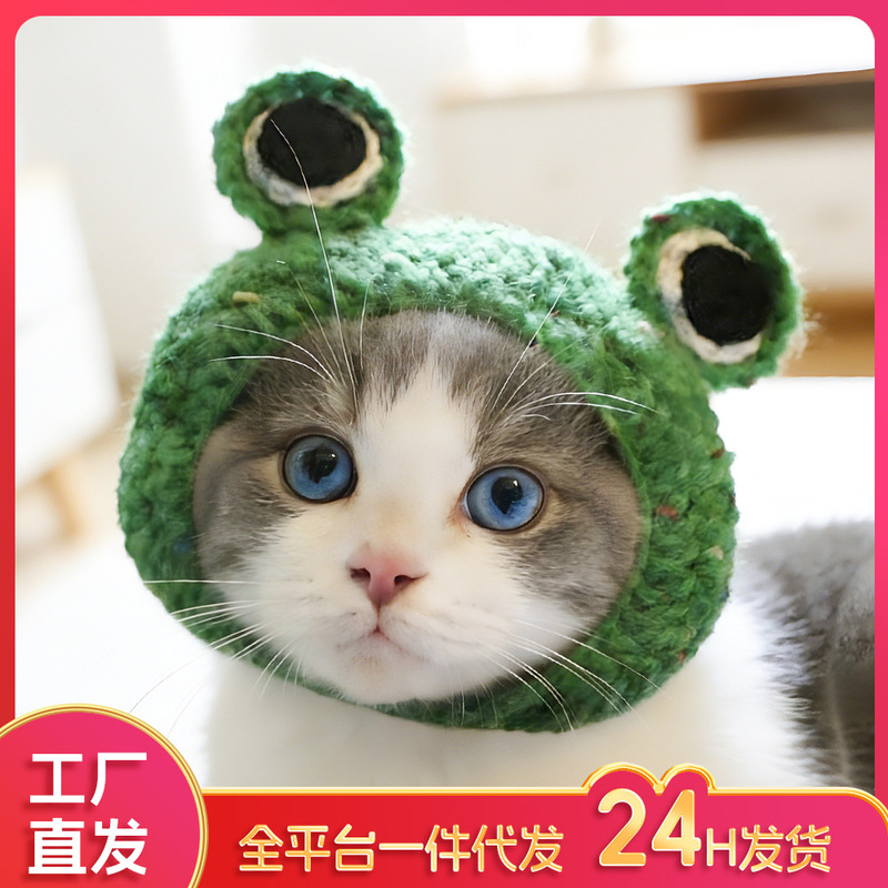 Pet Headgear, Cat Headgear, Personalized Cosplay Headgear, Transformation Costume, Pet Wig Hat, Braided Hat for Cats