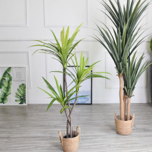 �����F�����[���Ҿ�ֲ�������m�b���ذ����������;Gֲ�߷���