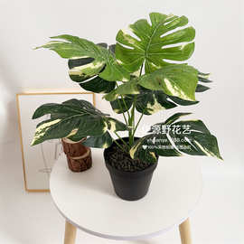 厂家供应9头大龟背叶仿真植物插花植物墙厥叶绿植盆景植物把束插