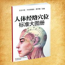 人体经络穴位标准大图册 方剂学、针灸推拿 中国轻工业出版社