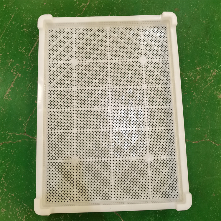 冷库肉串冷冻盘 塑料单冻盘 冷库速冻器 烘干盘现货批发