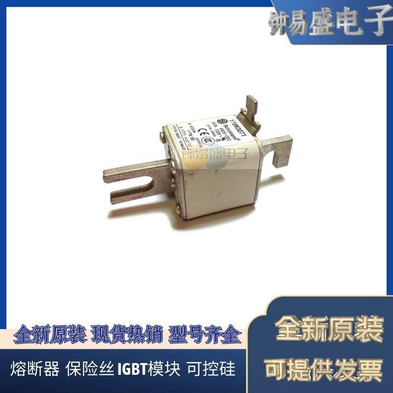 美国BUSSMANN熔断器170M3985 170M3986 170M3987 170M3988