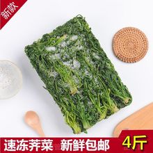 速冻荠菜冷冻新鲜野菜野荠菜馅馄饨饺子馅荠荠菜食材野荠菜散装