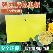 ���}�p��մ�x�及Ч���x�T�x���Sɫ��С�w�x��ˮ��ͥ�B�����@ͨ��