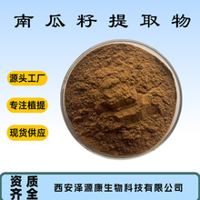南瓜籽提取物 10:1 水溶 SC厂家 南瓜籽原粉 南瓜子提取 源头厂家