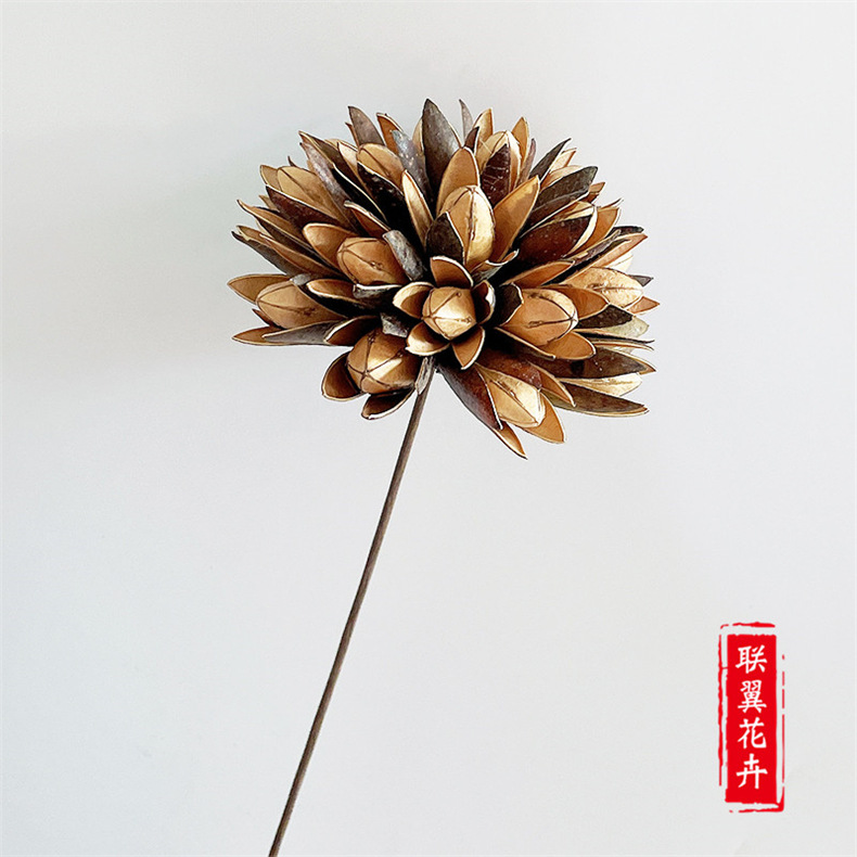Flores Secas de Magnolia de Yunnan, Ramo de Magnolia de Mil Lengua, Flores Secas Combinadas, Decoración Suave para el Hogar, Fabricante de Ramos, Venta al por Mayor