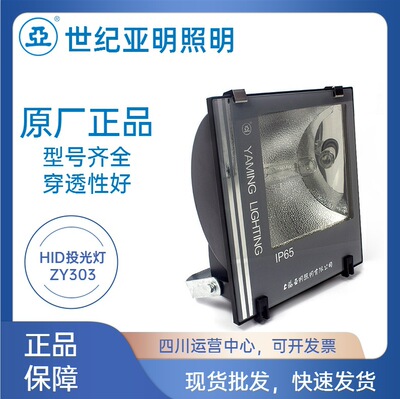 上海亚明ZY303金卤投光灯400W泛光灯250W高压钠灯户外广场道路