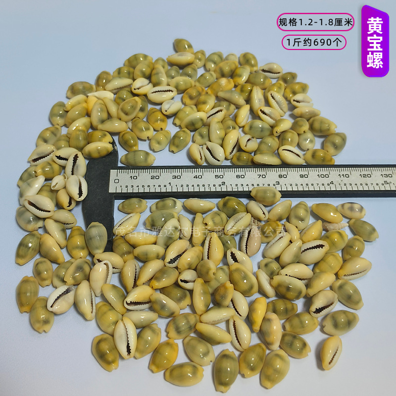 貝殻と法螺貝 1～2cmをポンド単位で販売、貝殻と砂を混ぜて手作りのDIYテーブルを製作、ドリフトボトルを製作|undefined