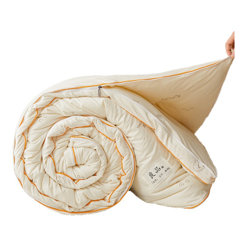 Edredón de fibra de soja y algodón lavado, edredón para todas las estaciones, lavable a máquina, edredón de primavera y otoño, núcleo de edredón grueso y cálido para otoño e invierno, invierno.