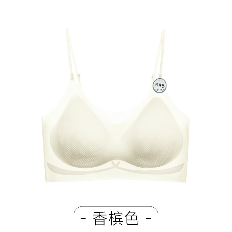 샴페인 화이트