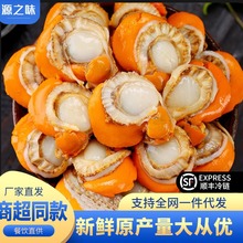 ���r��ؐ�����r����������l����o�����������r��ؐ���r�������l