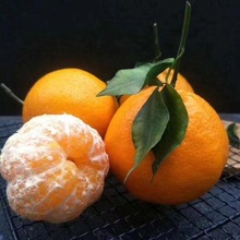 �L�ڹ����Ĵ���֪��������rˮ�������a��ֱ�l�ҰҸ�һ�����l