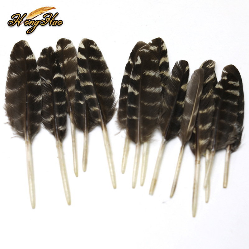 Plumas pequeñas al por mayor de plumas de faislo natural decorativas plumas artesanías bricolaje materiales hechos a mano divertidos accesorios de joyería de palo de gato