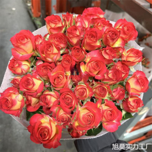 ��ɫ�űȶ��^õ���r�����������������ֱ�lͬ�����f��ˮ�ٺϲ廨
