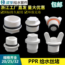 PPR�������Ϲܶ�ppr4����z���^20 25 6�ֽz�¹�ñˮ�������ƤȦ