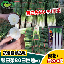 ���r�y�l80�׾��[�N�� �߿���������ɽ�|������[ԭ�N �F�U���[��