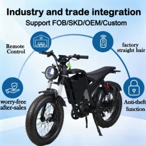 Black Knight elektrik motosiklet, ikili amortizatorlu, off-road şinli