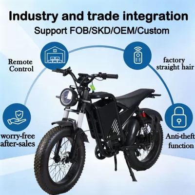 Black Knight Cross-Border Export Electric Motorcycle, Electric Bicycle, Off-Road Electric Motorcycle, Electric Vehicle with Dual Shock Absorbers and Off-Road Tires