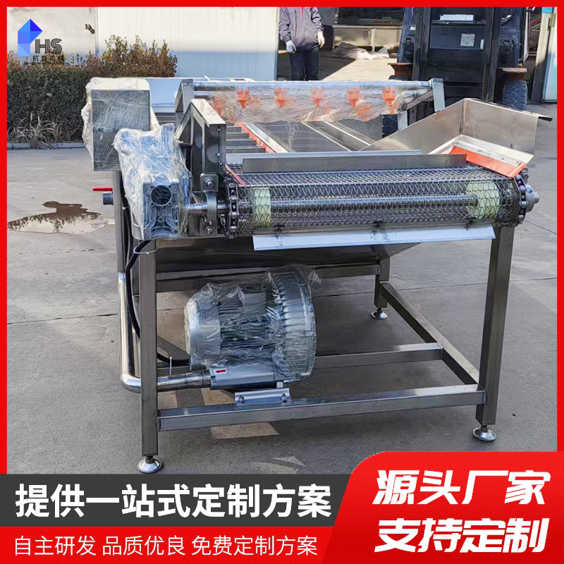 Máquina automática de limpieza de burbujas de frutas y verduras, equipo de limpieza de desalinización de col enchufe, limpieza de tremella, agua seca de aire