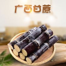 广西黑皮甘蔗 代发3斤精选中段新鲜孕妇水果应当季脆甜多汁甜杆蔗