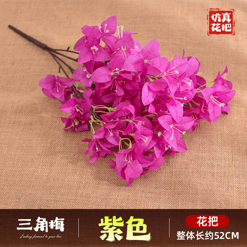 다섯 갈래 부겐빌레아-보라색