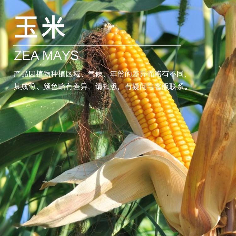 ���ҹ�Ӧ������ ������ѿ�� ��ե������ ����ԭ������ ��ӭ�ɹ�