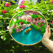 竹编永生苔藓画DIY海洋世界竹框画植物画绿植相框摆件亲子活动