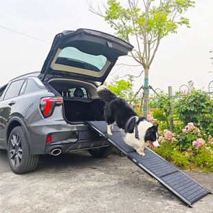 Outdoor Cross-Border Car Pet Supplies Dog Boarding Felt Ladder Ladder Foldableable Slope Pet Stairs