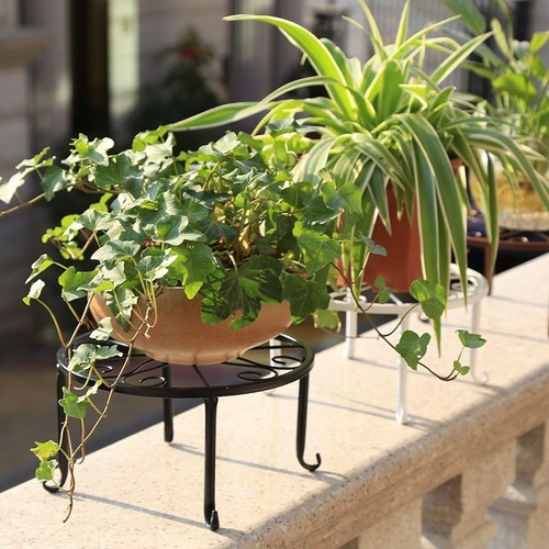 Labeling Iron Wrought Flower Stand Round Floor Cushion Indoor Balcony Desktop Desk Green Pothos Living Room Plant Stand Elevation