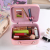 Cartoon handheld capacious cosmetic bag, cute storage box, new collection, internet celebrity